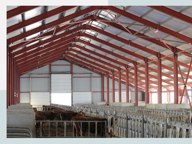 Строительство коровников в Георгиевске